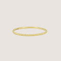 Dainty Twist Band